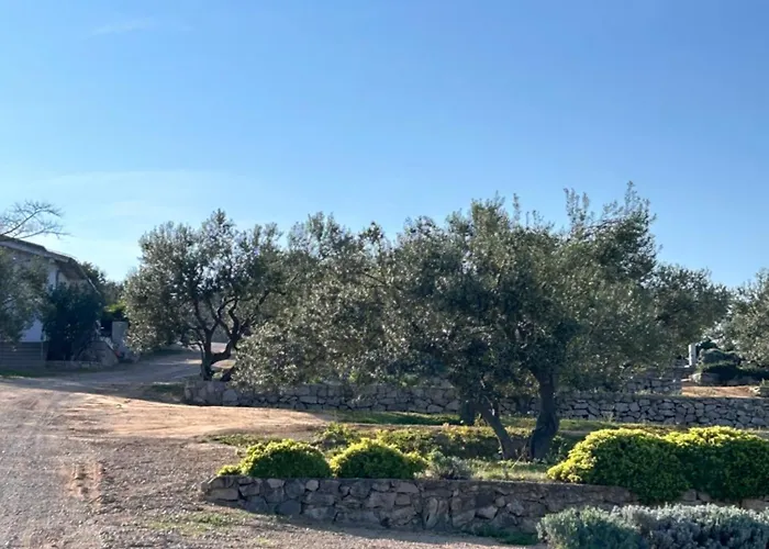 Campsite Mobile Max Drage