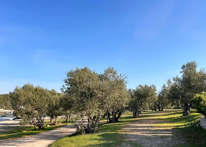 Mobile Max Campsite Drage