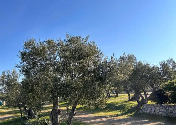 Campsite Mobile Max *