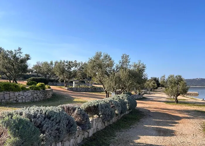 Campsite Mobile Max Drage