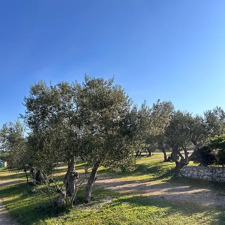 Campsite Mobile Max *
